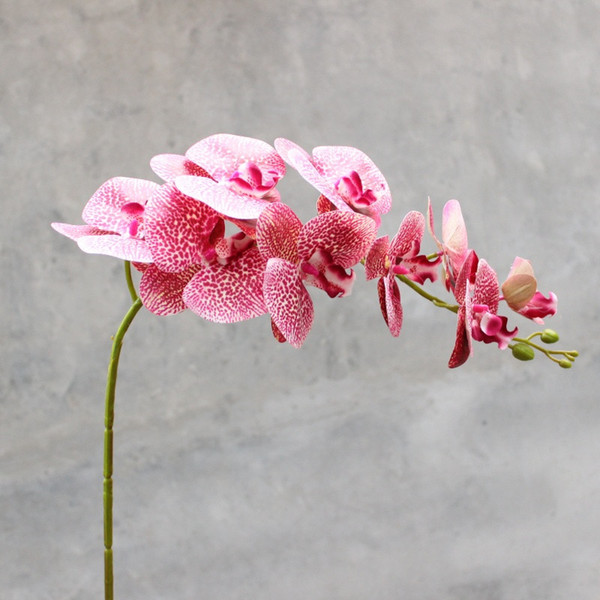 2 Size Phalaenopsis Orchid Silk Real Touch Artificial Flower Wedding Flower Orchid Floral Christmas Party Free Shipping