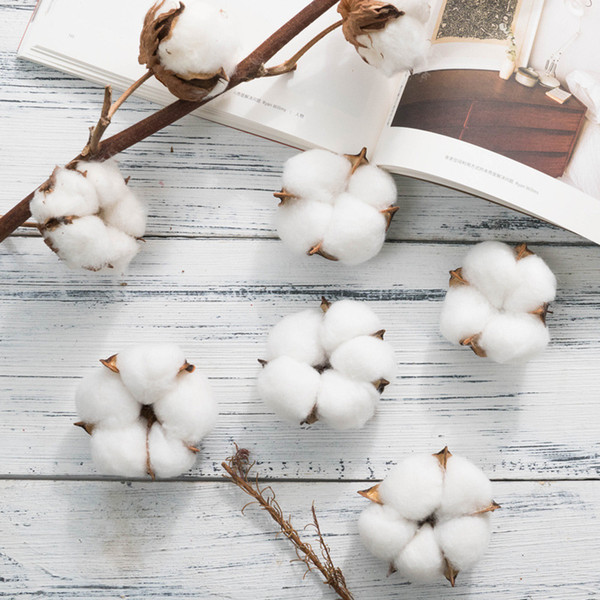 Artificial Dried Cotton Flower White Cotton Simulation Flower Holy Poetic Style Wedding Decoration for Home Party Office