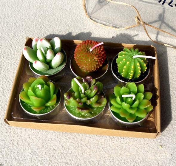 Decorative Wedding Candles 6PCS/Set Rare Mini Cactus Candle Table Tea Light Home Garden Simulation Plant Candle c627