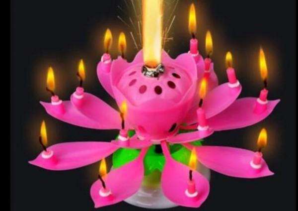 Candle Lamp No Red Velas Decorativas Velas Beautiful Birthday Gift Flower Music Candle Lotus New Candles Petal for Party