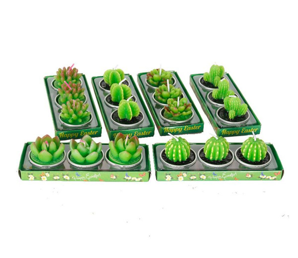 Cactus plant candle flower home decoration birthday party scene decoration cute decoration small tea candle Home decoratio