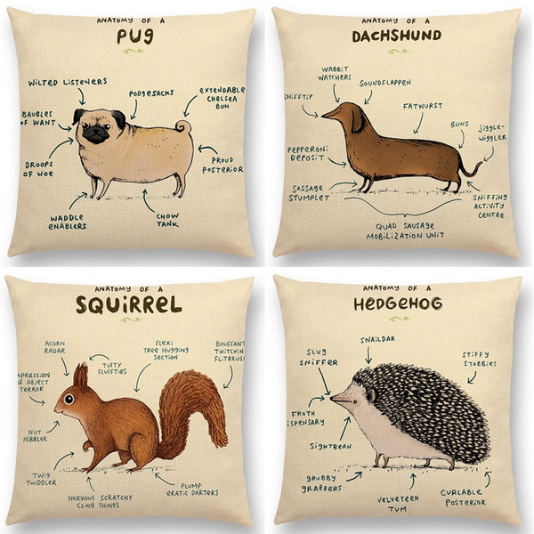 wholesale Animals Anatomy Dachshund Giraffe Hedgehog Cushion Cover 19 Styles Flamingo Fox Lion Pug Rabbit Squirrel Sofa Throw Pillow Case