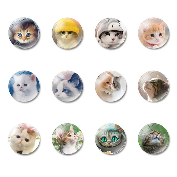 Cute Cat Fridge Magnet Funny Cat Lover Gift Glass Dome Magnetic Refrigerator Stickers Note Holder Home Decoratio Free DHL 951