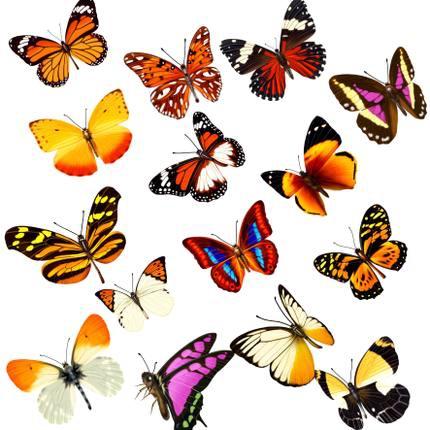 100PCS Three dimensional simulation of butterfly stickers fridge magnet car sticker