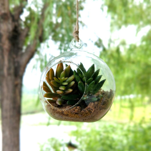 6cm 8CM 10cm Big Terrarium Borosilicate Hanging Glass Flower Vase Round Tabletop Vases Home Decor Wedding Decoration Transparent