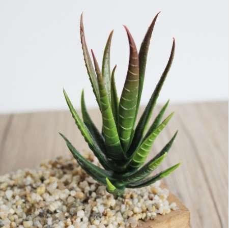 Artificial Succulent Plants Aloe Zebrina Artificial Plants Landscape Fake Flower Arrangement Garden Decoration Accessories