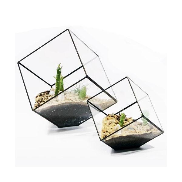 Modern Inclined Cube Succulent Terrarium Creative Geometric Fern Moss Glass Planter Wardian Case Flower Pot Container Black Gold