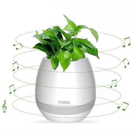 TOKQI Bluetooth Smart Music Flowerpot MINI intelligent real plant touch play flowerpot long time play bass speaker Night light