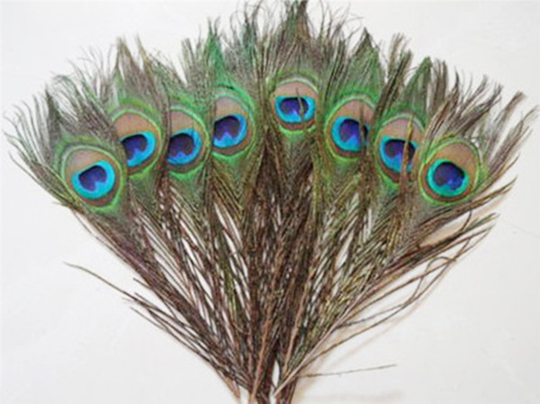 Elegant decorative materials Real Natural Peacock Feather Beautiful Feathers about 25 to 30 cm free shipping