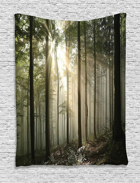 Farm House Decor Collection Sunrise in the Early Autumn Deciduous Forest Wild Woodland Seasonal Picture Bedroom Living Room Dorm