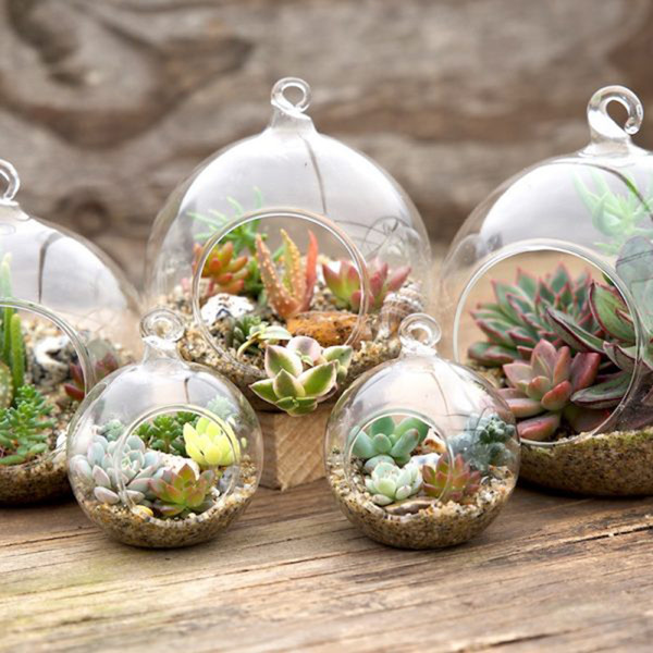 8 cm 10 cm Creative Hanging Glass Vase Succulent Air Plant Display Terrarium,Hanging Live Plant Glass Terrarium Orbs