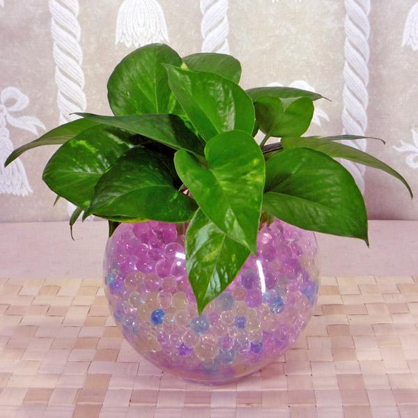 Hot 1000grams crystal soils water beads polymer gel balls for plant floral decor