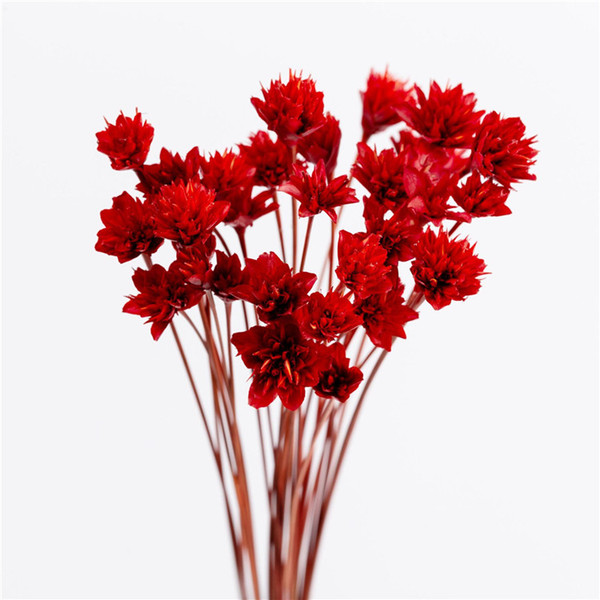 Artificial Flowers mini Daisy dried Flower Wild Chrysanthemum home hotel Decorative Flowers Photography Props 7 colors 30pcs/lot