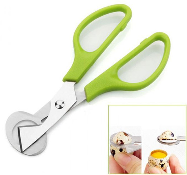 Quail Egg Bird Scissors Stainless Steel Cutter Egg Shell Egg Cutter