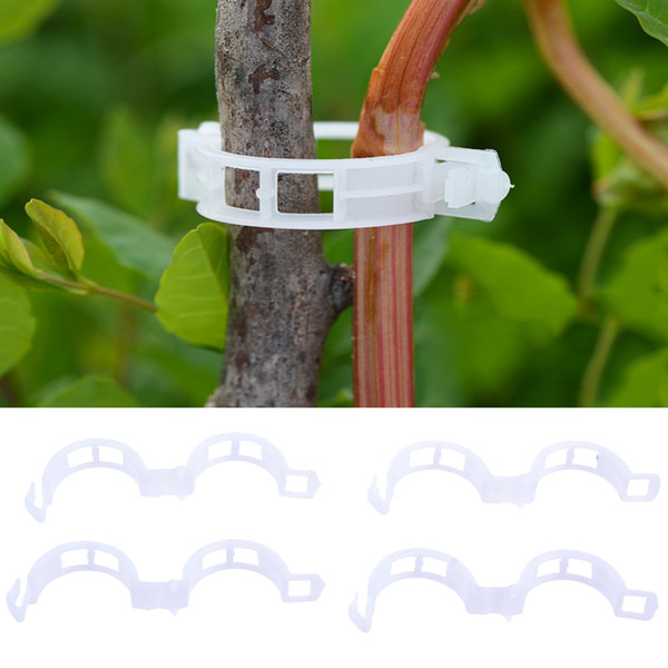 50pcs/100pcs Durable 30mm Plastic Plant Support Clips For Types Plants Hanging Vine Garden Greenhouse Vegetables Garden Ornament