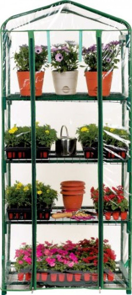 Four Shelf Greenhouse, New