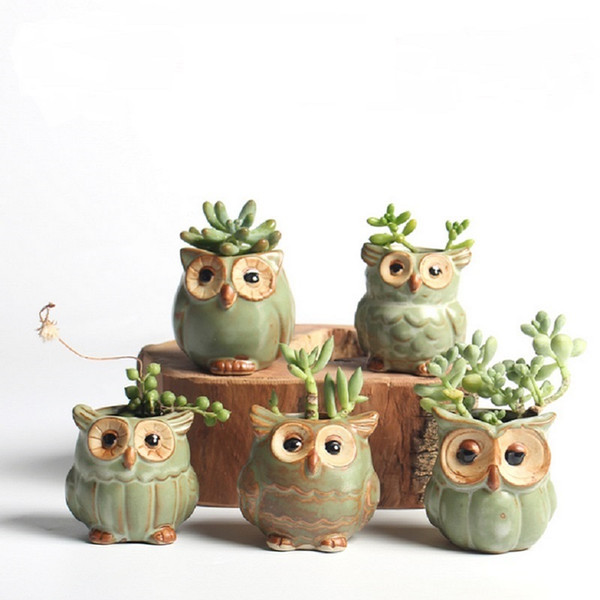 5pcs /Lot Creative Ceramic Owl Shape Flower Pots For Fleshy Succulent Plant Animal Style Planter Home Garden Office Decoration