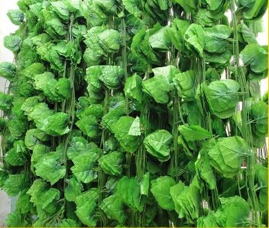 2.5M 60pcs artificial Grape leaves grape vine plants vine leaves decoration rattan