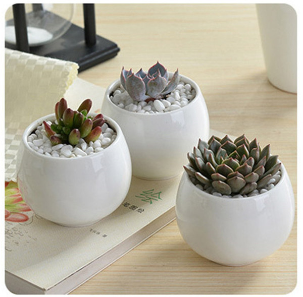 new succulents pots Decorative fashion Simple white mini flower pots planters succulent plant potted on the desk home decoration wholesale