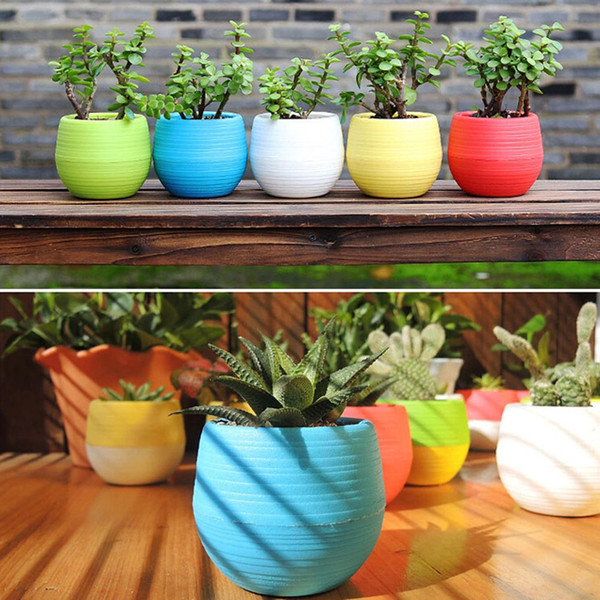 Mini Colourful Round Plastic Plant Flower Pots Home Office Decor Planter Decorative Crafts in the bedroom, living room 3pcs Randomly