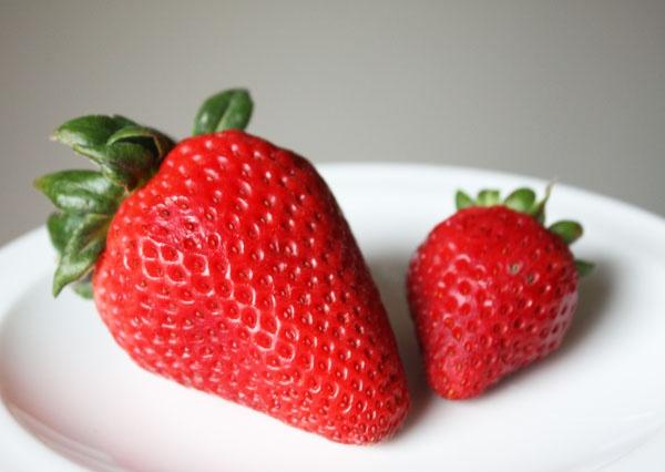 500 PCS potted strawberry seeds, high nutritional value of fruit seeds