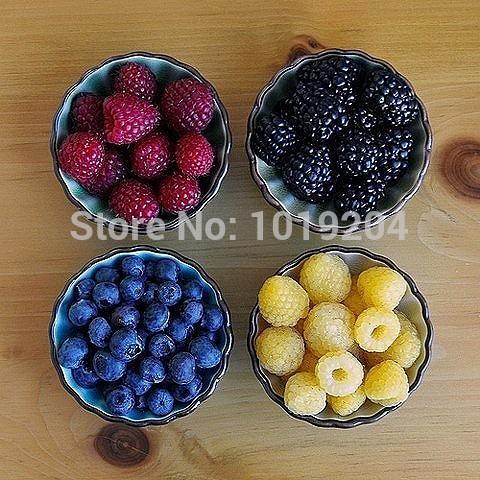 200 PCS raspberry seeds ,blue, black, red, yellow) delicious fruit plants