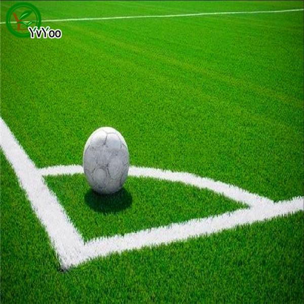 1000pcs Korean lawn grass seeds (Zoysia Tenuifolia) Evergreen Lawn Seeds Z80