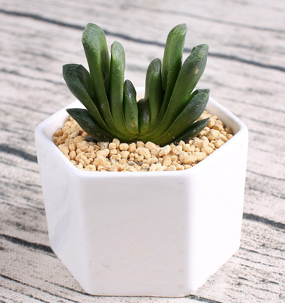 144pcs MOQ ceramic succulent pots wholesale Hexagon Square mini white porcelain flowerpots suppliers for wedding home decor bamboo tray