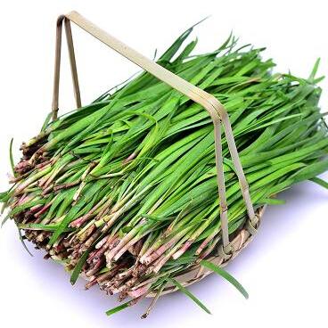 Leek seeds perennial growth fast root chives balcony vegetable seeds 200 particles/bag