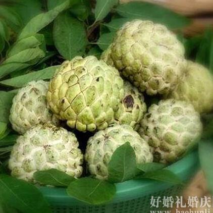 cherimoya fruit seeds DIY home garden plant tree seeds 10 particles/bag