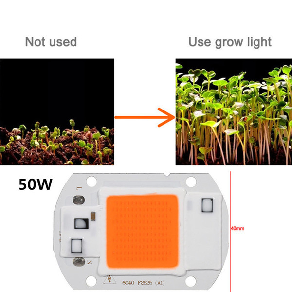 LED Plant Grow Light Chip 110V/220V 20W/30W/50W Full Spwctrum COB LED Chip Greenhouse Hydroponic Plant For Lampada