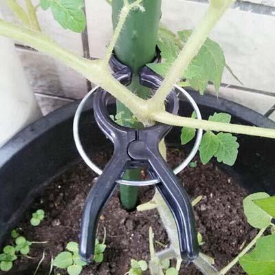 NEW 10pcs/lot High Quality Durable Plastic Sling Clips Fastener Plant Vines Tomato Fix Joint Flower Vegetable Tendril Binder Free Shipping