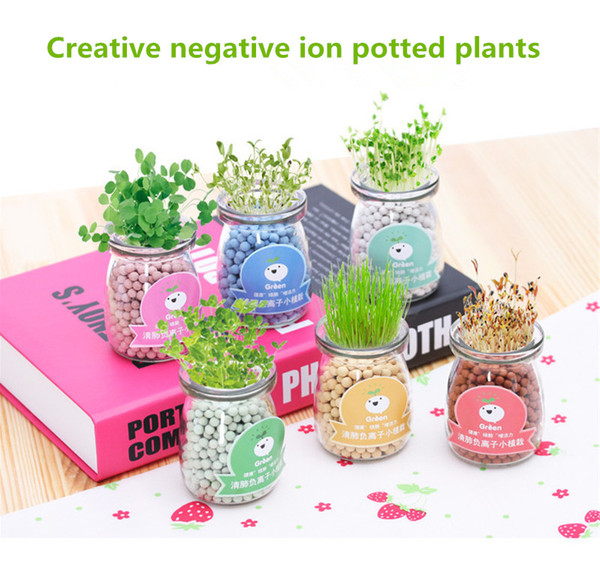 Creative DIY negative ions hydroponic potted self germination plants desktop radiation protection green plants small potted plants