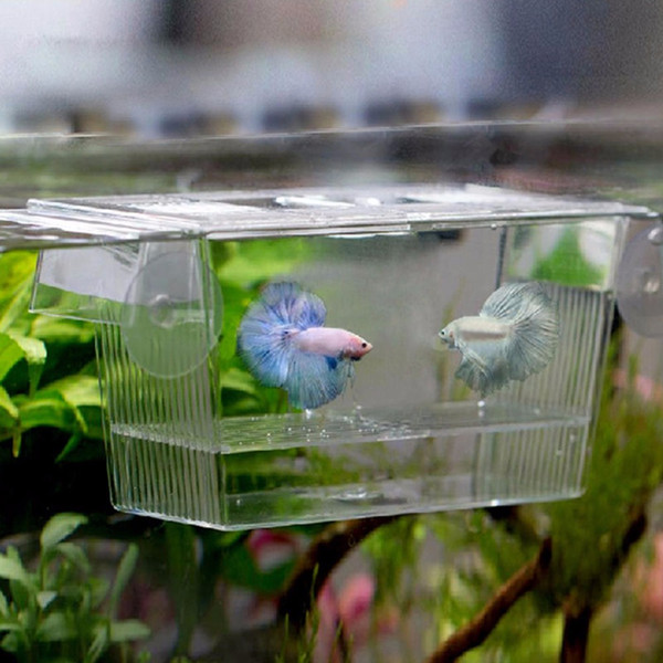 Aquarium Transparent Double Bowl Fighting Fish Mini House Incubator Box For Fry Isolation Hatchery Reptile Cage Turtle House