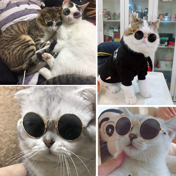 Zhen pin Hot-selling Mini pet Sunglasses Fashion Trend Cat, Kitty, Sunglasses, Teddy Dog, Sunglasses, Pet Ornaments