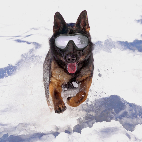 Zhen pin Pet glasses, dog products, goggles, waterproof, windproof, sunscreen and ultraviolet protection big dog glasses