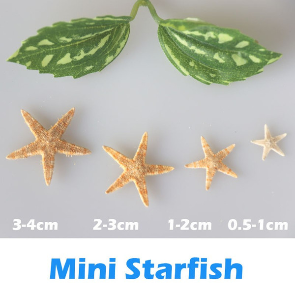 Free Shipping(100pcs/lot)0.5-4cm Super Lovely Natural Mini Starfish Home&Wedding Decoration Microlandscape Decoration