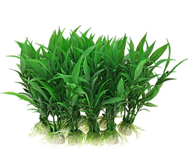 10cm super Live Aquatic Plant Provides a Natural Environment for Your Fish Hardy Plant with Longevity