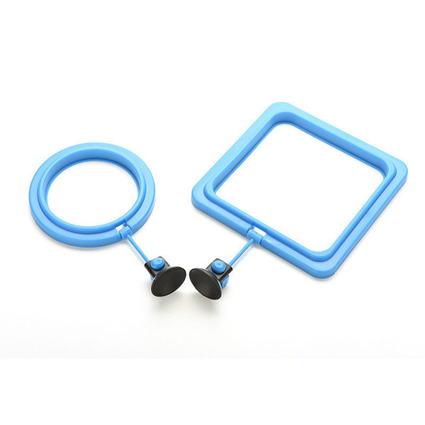 Fish Feeding Round Aquarium Fish Tank Ring Feeder Floating Food Circle Square Floating 500pcs