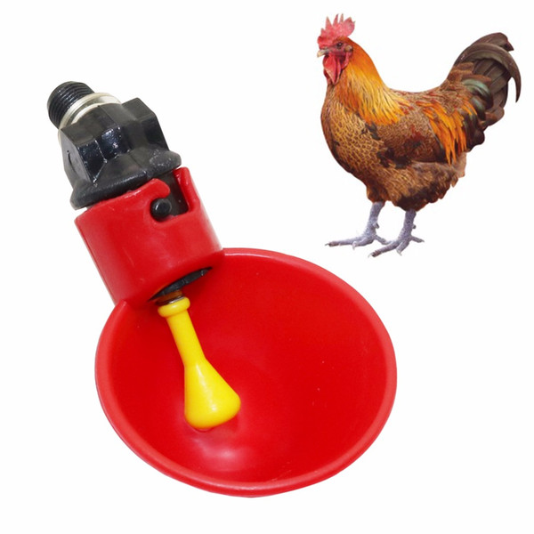 Poultry Water Drinking Cups Automatic Quail Chicken Drinker Plastic Chicken Fowl Drinker Cups Breeding equipment 2Pcs/lot 3pcs