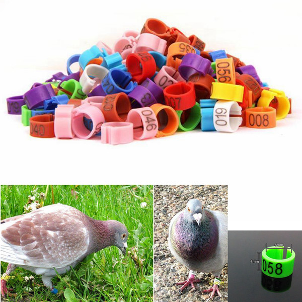 8*7mm Birds Foot Ring Clip On Leg Band Rings With Numbers Chickens Pigeon Bayonet Marking Ring Parrot Clip Rings Pet Supplies AAA261