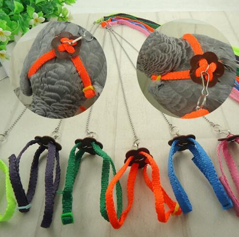 Free Shipping Parrot Bird Leash Outdoor Adjustable Harness Training Rope Anti Bite Flying Band