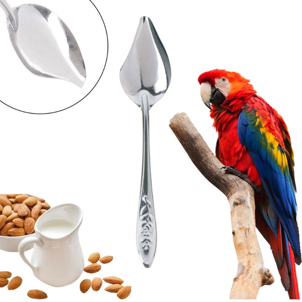 Bird's Stainless Steel Feeding Spoon Parrot's Milk Powder Spoon 3pcs