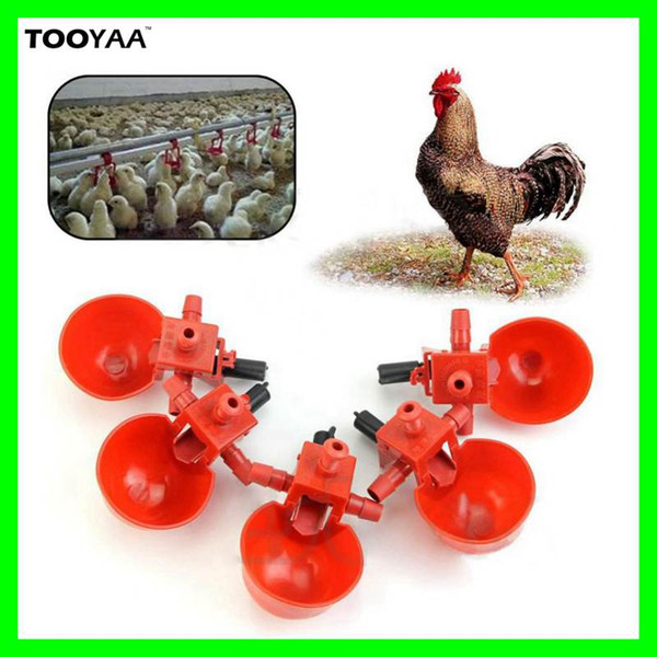 Automatic Birds Chicken Drinking Water Bowls Cups Poultry Feeding Tools Equipments Coop Fowl Drinker