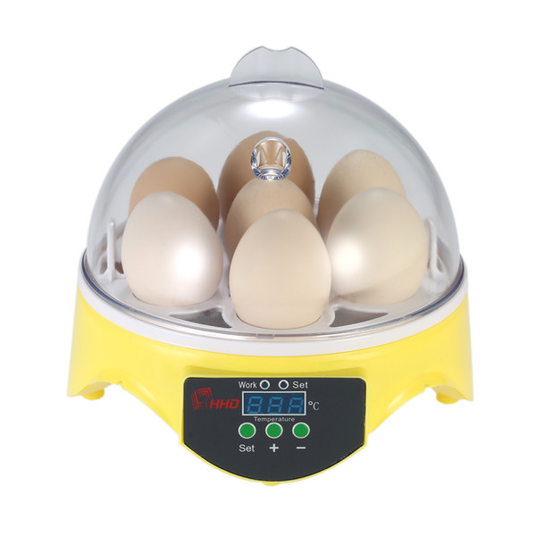 7 Eggs Incubator Hatcher Transparent Eggs Hatching Machine Automatic Temperature Control for Chicken Duck Bird Eggs