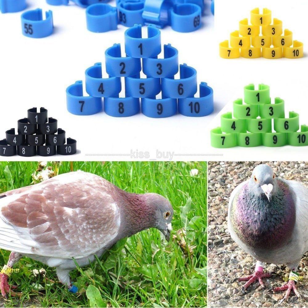 Wholesale-100Pcs 9.5mm Poultry Leg Bands Bird Pigeon Parrot Chicks Rings 1-100 Numbered Free shipping / tracking number