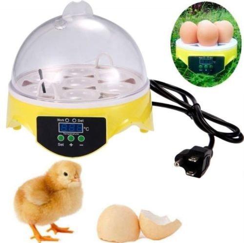 Freeshipping 7 Mini Egg Incubator Poultry Bird Pet Hatcher Digital Clear Temperature Control