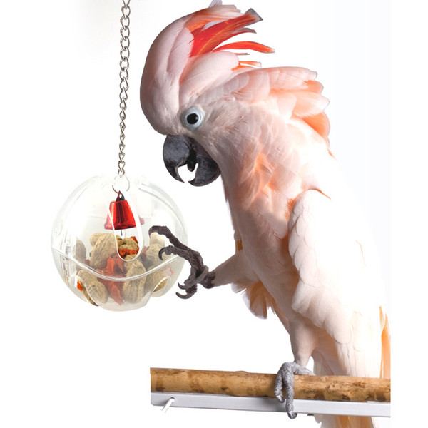 Pet Birds Toys Food Boxes Foraging Balls Foraging Tool Parrots Feeding Devices Parrot Toys