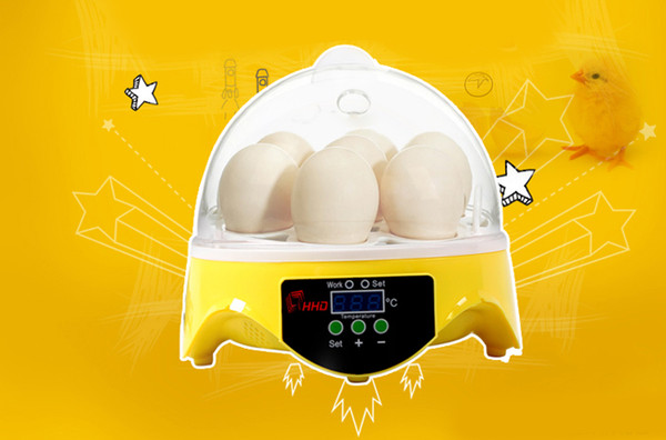 Mini Brooder Egg Automatic Incubator Controller Poultry Hatchery Machine for Chicken Duck Quail Birds Advance Hatching Incubator