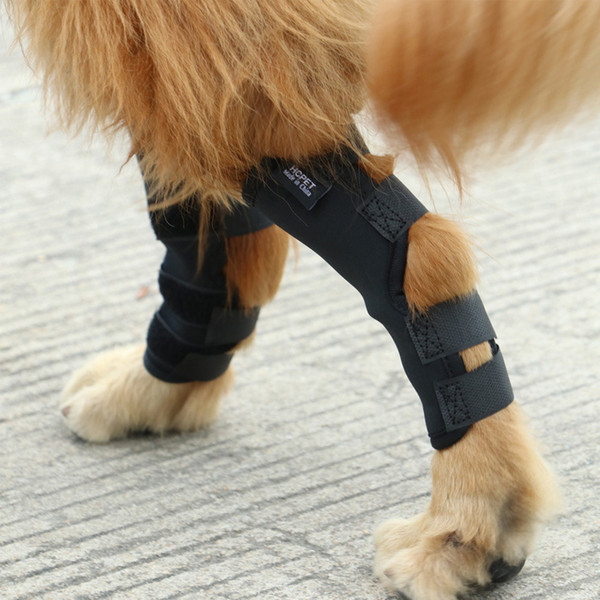 Zhen pin Hot-selling pet leg protector daily knee and leg protector dog injury recovery strap Bandage